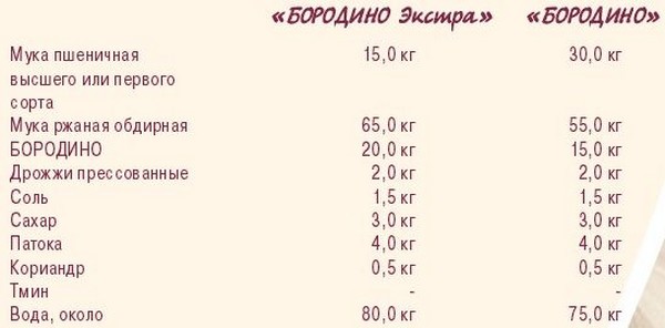 borodino1
